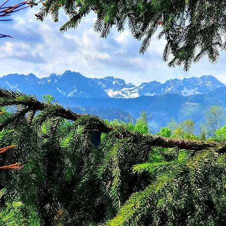 Ubytování v soukromí Tatrzanska Pod Brzyzkiem Zakopane