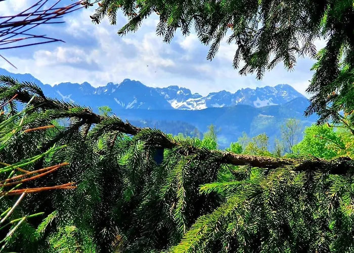 منزل للإقامة Tatrzanska Pod Brzyzkiem زاكوباني