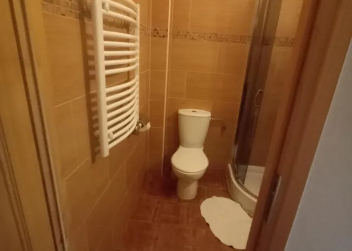 منزل للإقامة Tatrzanska Pod Brzyzkiem *